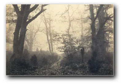 Immagine prodotto di Stampa artistica "Bosco di Fontainebleau" di Eugène Cuvelier – 40 x 60 cm – non incorniciata