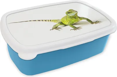 Produktbild von KitchenYeah® Lunchbox Brotzeit Brotdose 17x11 cm Eidechse - Reptil - Weiß Kinder Brotzeitdose - Lunch - Kunststoff  - Brotbüchse - Sandwichbox - Lunchbox für Kinder
