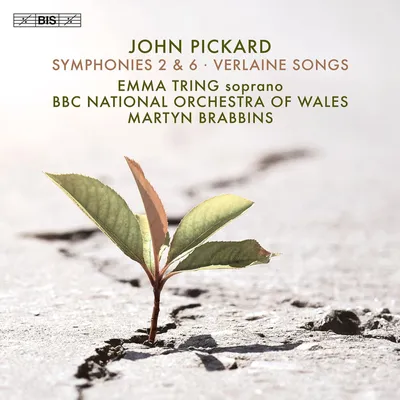 Obrázok produktu pre John Pickard: Symfónie č. 2 a 6