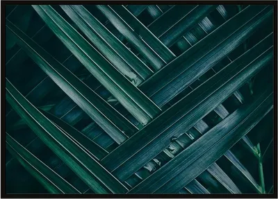 Obrázok produktu pre Obrazový plagát v ráme 53x73 cm Listy P1120