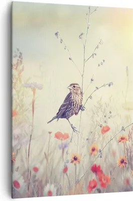 Produktbild von Bild auf Leinwand - Leinwandbild - Einteilig - Vogel Wildschwein Wiese - 70x100cm - Wand Bild - Wanddeko - Wandbilder - Leinwanddruck - Wanddekoration - Leinwand bilder - Wandbild - PA70x100-4279
