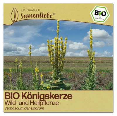 Produktbild von Samenliebe  Königskerze Samen | Wildblume - winterhart & zweijährig & großblütig - samenfestes  Saatgut