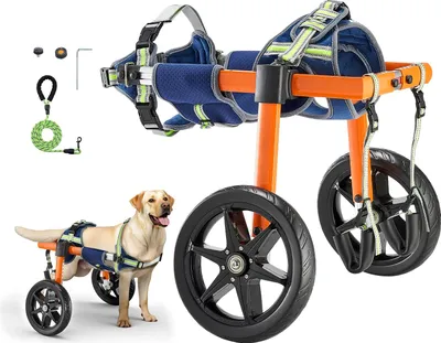 Immagine prodotto di VEVOR Carrozzina per cani per le zampe posteriori, carrozzina per animali domestici, regolabile in altezza, larghezza e lunghezza, carrozzina per cani con ruote ammortizzate, per cani feriti e disabili di peso compreso tra 15,88 e 21,77 kg