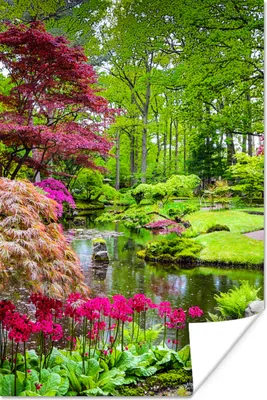 Produktbild von MuchoWow® Poster Bäume - Blumen - Japanisch - Natur - Wasser 120x180 cm - Kunstposter