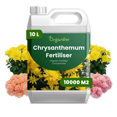 Zdjęcie produktu dla Chryzantema Płynny Nawóz 10 L – 2-1-8 NPK – Do Kvitnúce Rośliny – Do Bujne Listy i Kolorowe Jesienne Kwiaty – Organifer