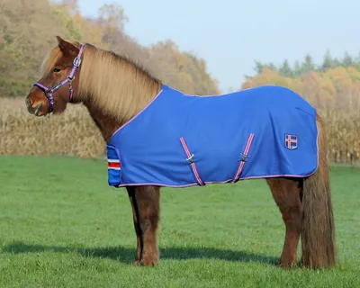 Produktbild von QHP Fleecedecke Icelandic - Kobaltblau