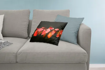 Produktbild von MuchoWow® Zierkissen Sofakissen Wohnzimmer Dekokissen 60x40 cm Die roten Blätter auf schwarzem Hintergrund - Kopfkissen - Polster mit Foto