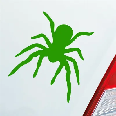 Produktbild von Auto Aufkleber Spinne Spider giftig Tier Ekel 10x10,5 cm Hellgrün Sticker Heckscheibenaufkleber