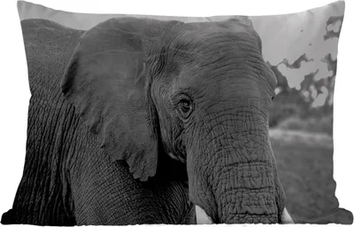 Produktbild von MuchoWow® Outdoor Kissen - Elefant - Tiere - Schwarz - Weiß - Natur - 50x30 cm - Wetterfest - Lounge Kissen - Sofa kissen - Wohnzimmer Dekoration