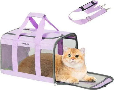Produktbild von Famanu Transporttas für Katzen und Hunde - Leicht, faltbar, wasserfest