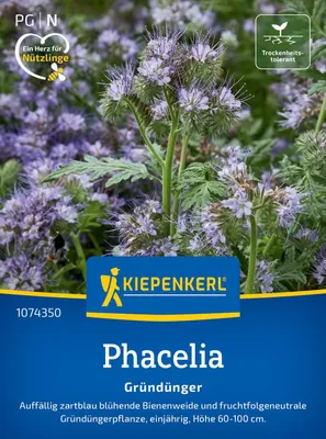 Produktbild von Kiepenkerl Phaceliasamen Bienenfreund Phacelia tanacetifolia 25 m²
