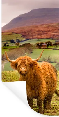 Produktbild von MuchoWow® Wandtattoo Wandsticker Wandaufkleber Schottische Highlander - Berge - Natur 40x80 cm Selbstklebend und Repositionierbar - Repositionierbar - Wasser abweisend