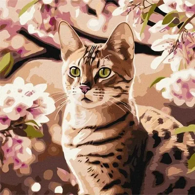 Image de Peinture par numéros - Chaton dans le jardin 40 x 40 cm - Ideyka