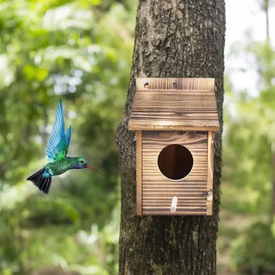Produktbild von Nestkasten-Bausatz für Vögel - wetterfest - 1 Stück - massives Holz