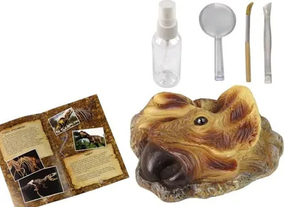 Obrázek produktu pro LEAN Toys 14061 Edukační sada Vykopávky dinosaurus Triceratops