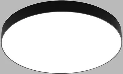 Obrázek produktu pro Kruhové stropní LED svítidlo RINGO P, Varianta: RINGO P, 600 mm, 54 W, 4580 lm, černá