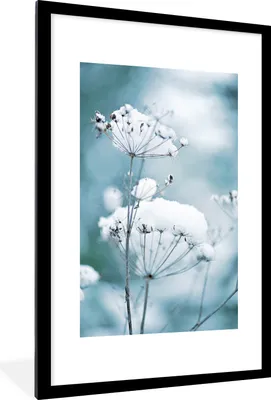 Produktbild von MuchoWow® MuchoWow® Gerahmtes Poster Schnee - Blumen - Winter - Zweige 60x90 cm - Poster mit zchwarzem Bilderrahmen - Dekoration - Wandposter Wohnzimmer - Hochwertig