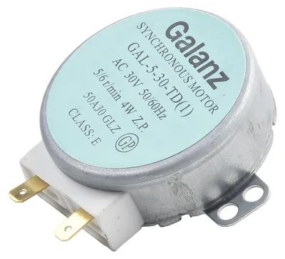 Magnetron-Drehtellermotor 30 V 4 W Ersatzteil