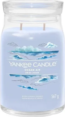 Produktbild von Yankee Candle Signature, Zylinder, Blau, Bernstein, Jasmin, Sandelholz, 90 h, 1 Stück(e)
