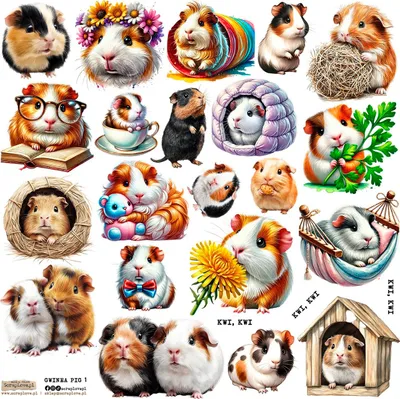 Immagine prodotto di STICKERS Adesivi decorativi ScrapLove - Maiale Gwinea