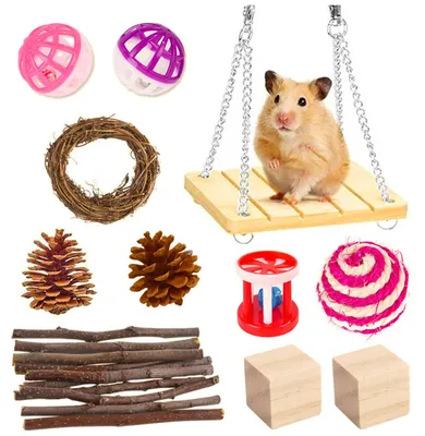 Produktbild von Hamsterspielzeug, das Hamstern, Rennmäusen und anderen Kleintieren zum Kauen und Spielen dient, regt sie zum Zähneknirschen an.