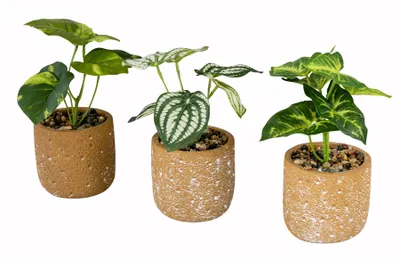 Produktbild von 3er Set Grüne Kunstpflanze H18cm Terrakotta Topf Deko Zimmer Pflanzen Tischdeko