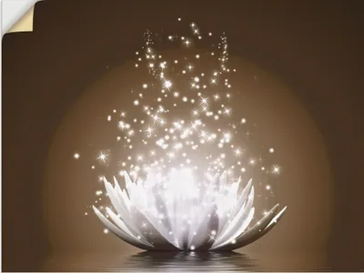 Produktbild von ARTland Wandbild, selbstklebend Magie der Lotus-Blume Größe: 80x60 cm
