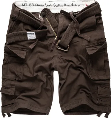 Produktbild von SURPLUS Division Shorts, braun