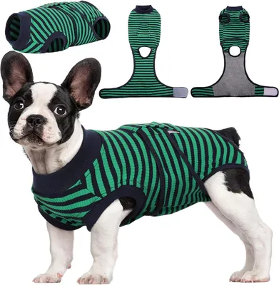 Produktbild von Kuoser Hundebody Op Kastration Grün M Atmungsaktiv