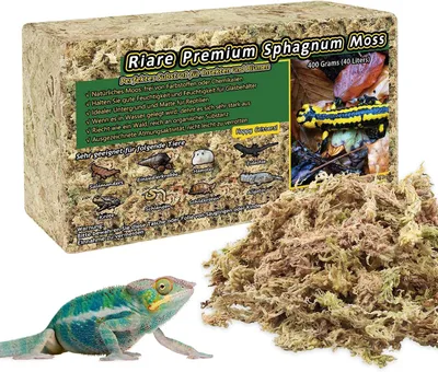 Zdjęcie produktu dla Mech torfowiec dla gadów - 150 g - naturalny podłoże do terrarium - wilgotne schronienie