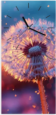 Produktbild von Wanduhr aus Glas mit Motiv Pusteblume Sonnenuntergang- 30 x 60 cm - inkl. Aufhängesystem