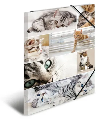 Obrázok produktu pre HERMA Sammelmappe A3 Katzen Pappe