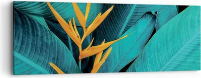 Produktbild von Bild auf Leinwand - Leinwandbild - Einteilig - Blumen Tropen Blätter - 90x30cm - Wand Bild - Wanddeko - Wandbilder - Leinwanddruck - Bilder - Wanddekoration - Leinwand bilder - Wandbild - AB90x30-5116
