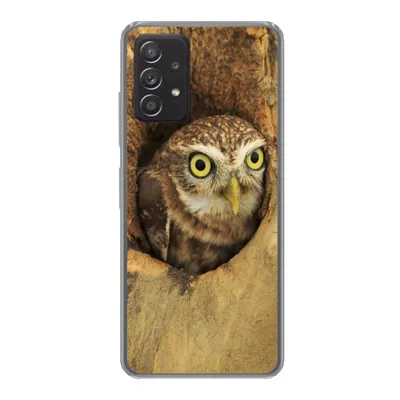 Produktbild von MuchoWow® Handyhülle Schutzhülle Hülle für Samsung galaxy a73 Braune Eule, die aus einem Loch in einem Baum schaut Silikon Softcase Handy Hülle - Handyhülle