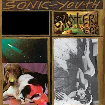 Obrázek produktu pro Sonic Youth: Sister