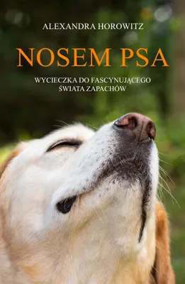 Productafbeelding van Nosem psa