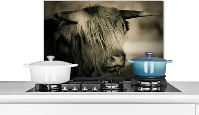 Produktbild von KitchenYeah®  Spritzschutz Küche - Küchenrückwand - Wandschutz für Herd und Spüle - Schottisches Hochlandrind - Tiere - Haare 60x40 - Alu-Dibond (Alternative zum Spritzschutz aus Glas) - Hitzebeständi