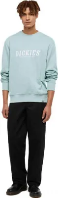 Immagine prodotto di Felpa Dickies DK0A85SVJ591 da Unisex