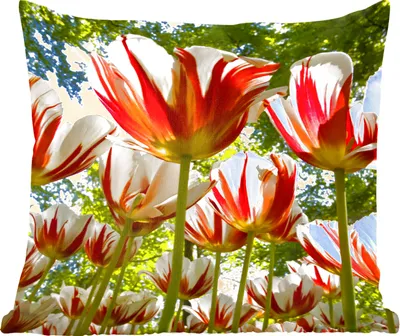 Produktbild von MuchoWow® Zierkissen Sofakissen Wohnzimmer Dekokissen 45x45 cm Ein Garten mit roten und weißen Tulpen - Schlafpolster - Polster für das Sofa