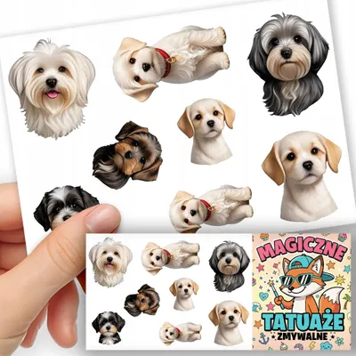 Produktbild von ABWASCHBARE KINDERTATTOOS TEMPORAER - Hunde Rasse Malteser - 8 St.