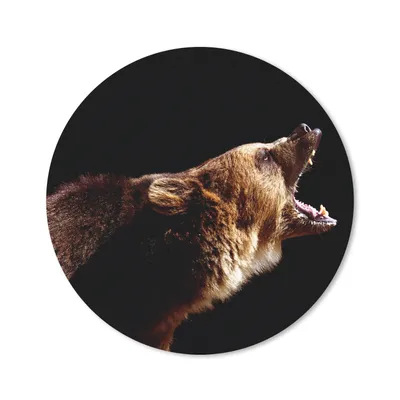Produktbild von MuchoWow® Mauspad Mousepad Bär - Wildtier - Zähne 30x30 cm - Mousepads - Maus Mat - Pad - Mausunterlage - Tischunterlage - Schreibtischmatten