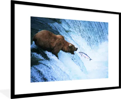 Produktbild von MuchoWow® MuchoWow® Gerahmtes Poster Bär - Fisch - Wasserfall 90x60 cm - Poster mit zchwarzem Bilderrahmen - Wanddekoration - Fotos