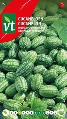 Produktbild von Semená mexických uhoriek - približne 15 semien | VT_921