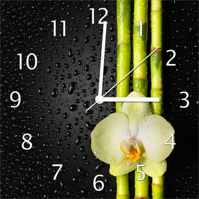 Produktbild von Wallario Design Wanduhr Grüne Orchidee mit Bambus auf schwarz - Regentropfen aus Echtglas, Größe 30 x 30 cm