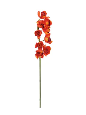 Image de EUROPALMS Branche de cymbidium, artificielle, rouge, 90cm (82530315)