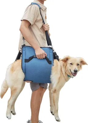 Produktbild von Hundetragegurt, Notfallrucksack Unterstützung für Rehabilitation Hundelift Geschirr, Hundeträger für ältere Hunde Gelenkverletzungen, Arthritis, Treppe hinauf (XL, Blau)