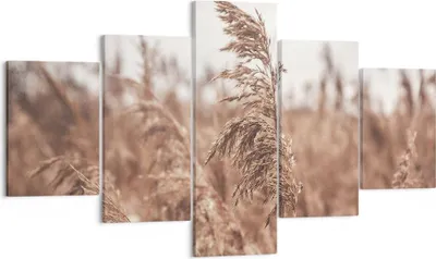 Produktbild von Bild auf Leinwand - Leinwandbild - 5 Teile - Zuckerrohr Wiese Boho - 125x70cm - Wand Bild - Wanddeko - Wandbilder - Leinwanddruck - Bilder - Wanddekoration - Leinwand bilder - Wandbild - EA125x70-4709