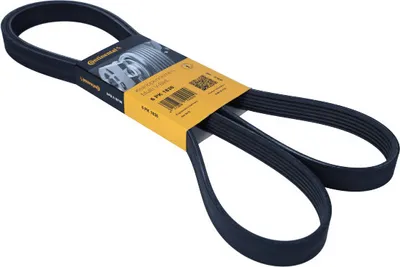 Immagine prodotto di CONTITECH 6PK1836 Cinghia con nervature a V