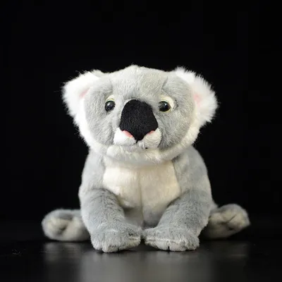 Produktbild von Koala Kuscheltier 23 cm – Weiches Plüsch Stofftier im realistischen Design
