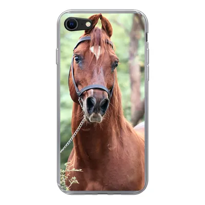 Produktbild von MuchoWow® Handyhülle Schutzhülle Hülle für iPhone SE 2020 Pferd - Wald - Halfter Silikon Softcase Handy Hülle - Kartenbesitzer